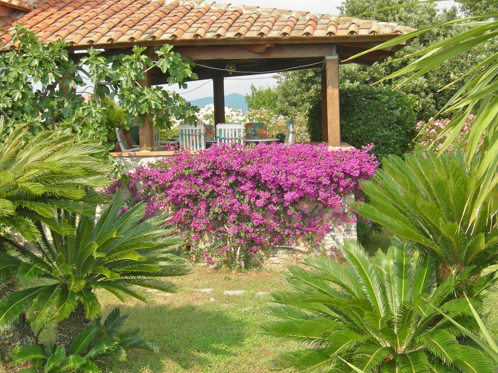 B&B Le Palme Ameglia Ngoại thất bức ảnh